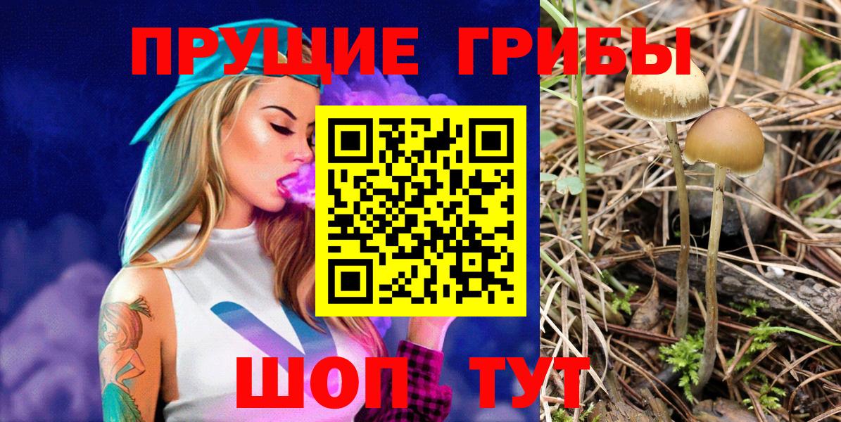 Меф   Тулун  Конопля  Где продают наркотики?  Вход с VPN  НБОМе 