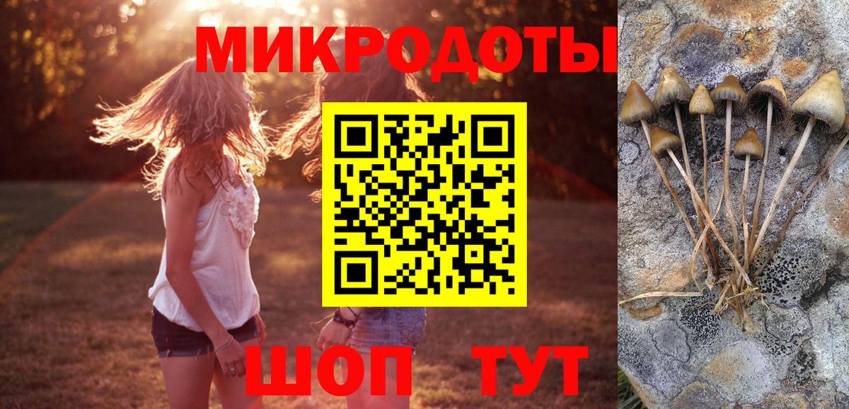 Тулун  Галлюциногенные грибы Cubensis  Вход с VPN  Псилоцибиновые грибы мухоморы 