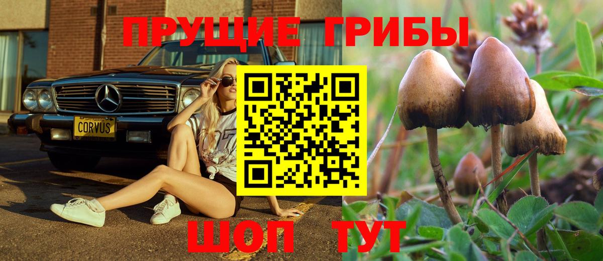 Галлюциногенные грибы MAGIC MUSHROOMS Тулун